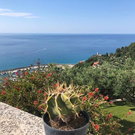 Villa Degli Ulivi B&B Finale Ligure Dış mekan fotoğraf