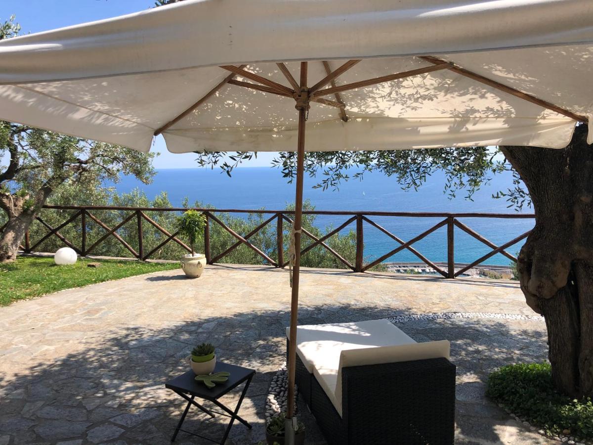 Villa Degli Ulivi B&B Finale Ligure Dış mekan fotoğraf
